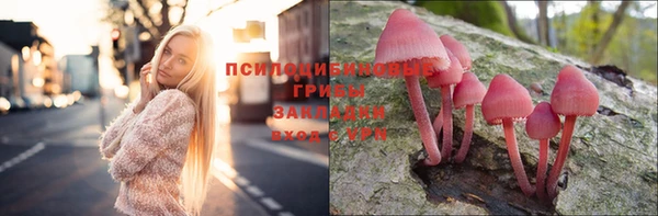 кокаин колумбия Тайга